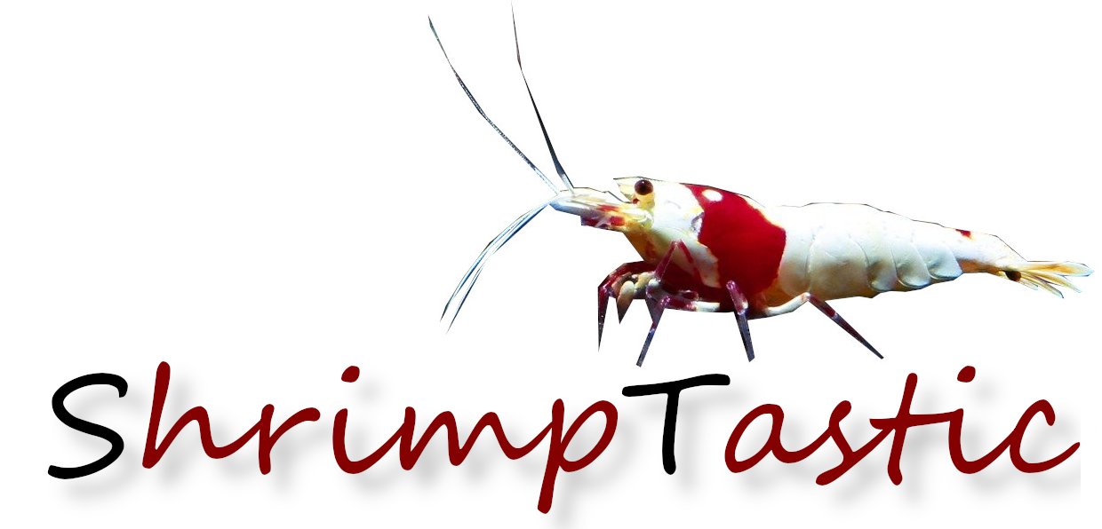 Schmitt Aquaristik / ShrimpTastic